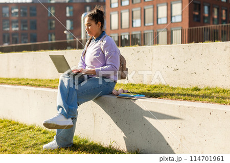 A girl is seated on a concrete wall outdoors, engaged on her laptop. She appears focused on the screen, with buildings in the background. 114701961