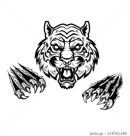 Tiger head and claws. Design element for logo, emblem, sign, poster, t shirt. Vector illustration 114702240