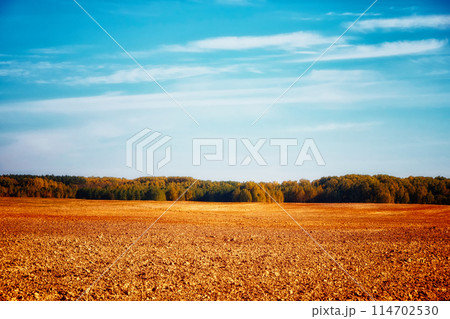 Plowed farmland stretches to a distant treeline beneath a serene sky, evoking feelings of peace and potential for growth. Use in farming ads. Plowed farmland stretches to a distant treeline beneath a serene sky, evoking feelings of peace and potential for growth. Use in farming ads. 114702530