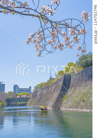 【桜】春の大阪城公園 114702746