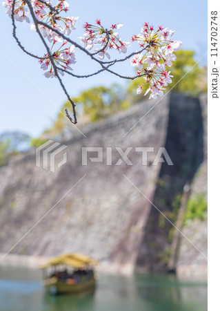 【桜】春の大阪城公園 【桜】春の大阪城公園 114702748