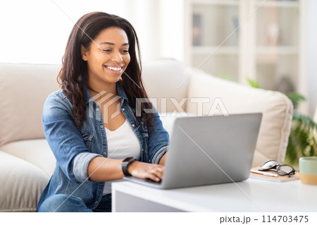 African American woman entrepreneur is sitting on a couch, focused on using a laptop computer. She is typing on the keyboard and looking at the screen intently as she works or browses the internet. 114703475
