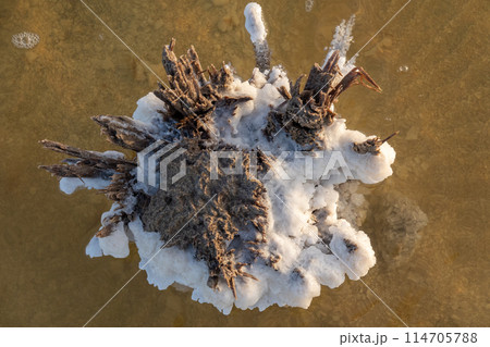 Salt and mineral formation emerging from water in desert landscape 114705788