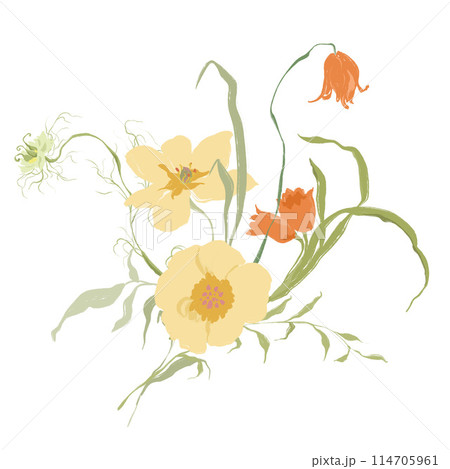 Watercolor abstract flower bouquet of narcissus and tulip. Hand drawn wildflowers isolated on white background. Holiday Illustration for design, print, fabric or background. 114705961