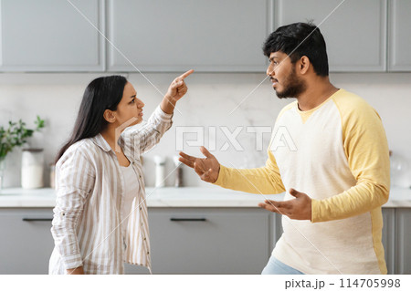 Furious millennial indian couple have fight, cozy modern kitchen interior. Angry young eastern woman shouting and gesturing while talking to her husband or boyfriend. Crisis in relationships, marriage Furious millennial indian couple have fight, cozy modern kitchen interior. Angry young eastern woman shouting and gesturing while talking to her husband or boyfriend. Crisis in relationships, marriage 114705998