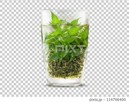 Nettle Tea Nutritive nettle tea in a clear glass with nettle leaves and a healthful 114706400