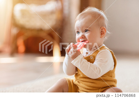 Adorable happy blonde infant baby playing with kids toys at home while sitting on carpet floor in living room. Portrait of smiling cute child toddler using colorful toys, copy space Adorable happy blonde infant baby playing with kids toys at home while sitting on carpet floor in living room. Portrait of smiling cute child toddler using colorful toys, copy space 114706868