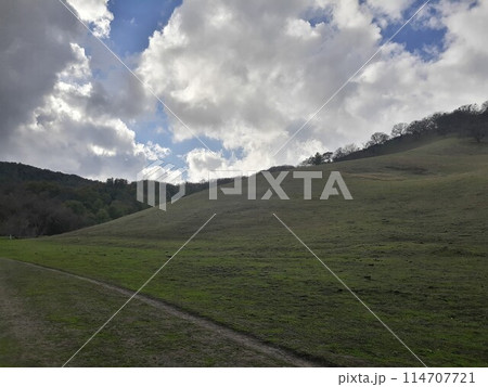Briones State Park in California Briones State Park in California 114707721