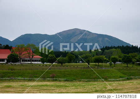 日本の岡山県の蒜山高原のとても美しい初夏の風景 日本の岡山県の蒜山高原のとても美しい初夏の風景 114707818