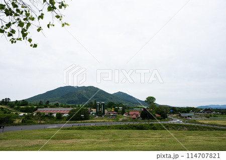 日本の岡山県の蒜山高原のとても美しい初夏の風景 日本の岡山県の蒜山高原のとても美しい初夏の風景 114707821