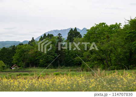 日本の岡山県の蒜山高原のとても美しい初夏の風景 日本の岡山県の蒜山高原のとても美しい初夏の風景 114707830