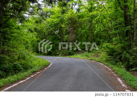 日本の岡山県の蒜山高原のとても美しい初夏の風景 日本の岡山県の蒜山高原のとても美しい初夏の風景 114707831