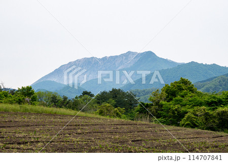 日本の岡山県の蒜山高原のとても美しい初夏の風景 114707841