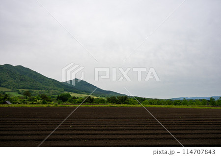 日本の岡山県の蒜山高原のとても美しい初夏の風景 日本の岡山県の蒜山高原のとても美しい初夏の風景 114707843