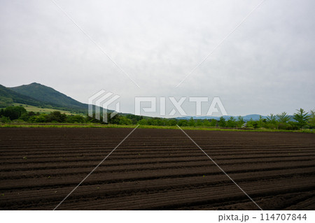 日本の岡山県の蒜山高原のとても美しい初夏の風景 114707844