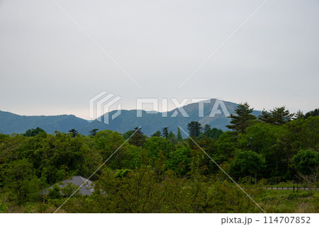 日本の岡山県の蒜山高原のとても美しい初夏の風景 114707852