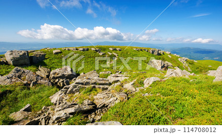stones on the grassy hills of carpathian mountains ukraine. pleasant sunny weather in summer 114708012