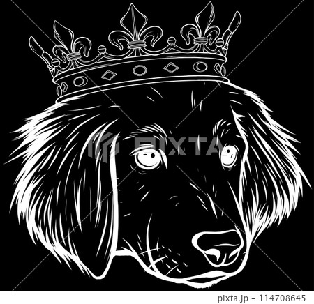 head dog in white line on black background 114708645