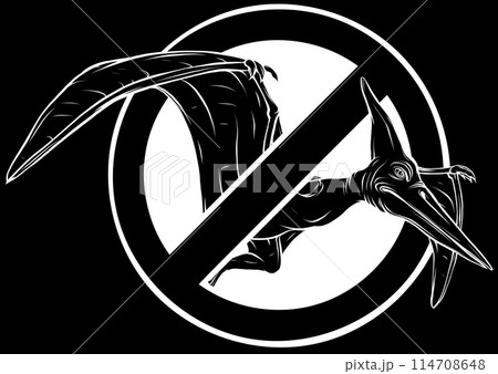 pterodactyl dinosaur in white line on black background 114708648