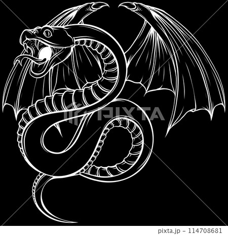 Snake in white line on black background Snake in white line on black background 114708681