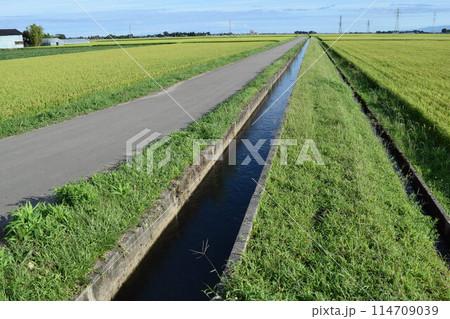 農道と農業用水路 田園風景 農道と農業用水路 田園風景 114709039