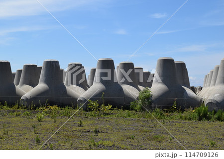 海岸の波消しブロック 114709126