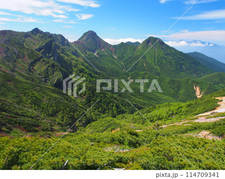 八ヶ岳・硫黄岳から望む夏の赤岳・横岳・阿弥陀岳 114709341