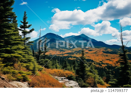 Mountain range with trees, mountains, clouds, sky, grassland, and larch 114709377
