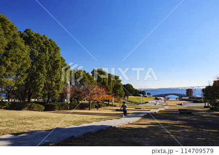 神奈川県横浜市みなとみらい臨海公園の晩秋・冬 神奈川県横浜市みなとみらい臨海公園の晩秋・冬 114709579