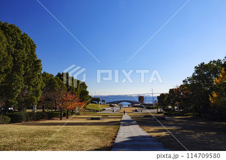 神奈川県横浜市みなとみらい臨海公園の晩秋・冬 神奈川県横浜市みなとみらい臨海公園の晩秋・冬 114709580