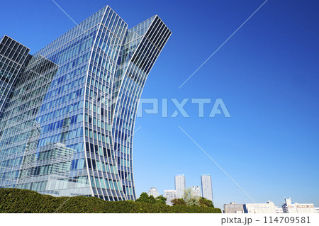 神奈川県横浜市みなとみらい臨海公園の晩秋・冬 神奈川県横浜市みなとみらい臨海公園の晩秋・冬 114709581