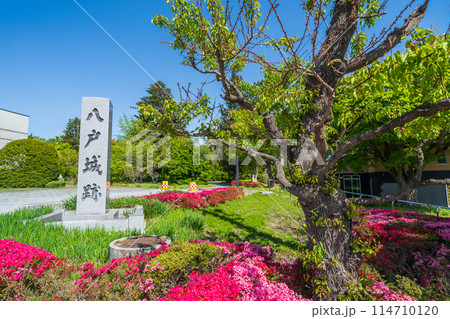 「青森県」八戸城跡の石碑（三八城公園／八戸市内丸） 114710120