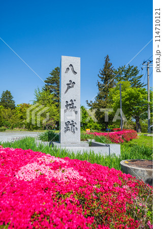 「青森県」八戸城跡の石碑(三八城公園/八戸市内丸) 「青森県」八戸城跡の石碑(三八城公園/八戸市内丸) 114710121