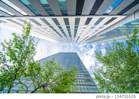 「埼玉県」さいたま新都心のビル群を見上げる 「埼玉県」さいたま新都心のビル群を見上げる 114710128