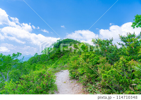 【登山素材】小遠見山の尾根道【長野県】 【登山素材】小遠見山の尾根道【長野県】 114710348