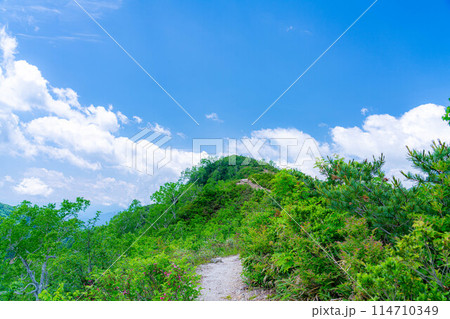 【登山素材】小遠見山の尾根道【長野県】 【登山素材】小遠見山の尾根道【長野県】 114710349