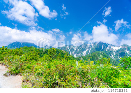 【登山素材】小遠見山の尾根道【長野県】 114710351