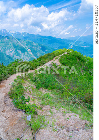【登山素材】小遠見山の尾根道【長野県】 【登山素材】小遠見山の尾根道【長野県】 114710357