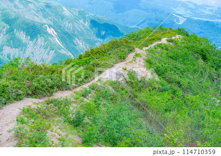 【登山素材】小遠見山の尾根道【長野県】 【登山素材】小遠見山の尾根道【長野県】 114710359