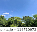 青空と樹木の風景 114710972