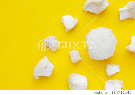Fresh lion's mane mushroom on yellow background. (Yamabushitake Mushroom) 114711149