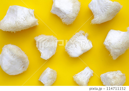 Fresh lion's mane mushroom on yellow background. (Yamabushitake Mushroom) Fresh lion's mane mushroom on yellow background. (Yamabushitake Mushroom) 114711152