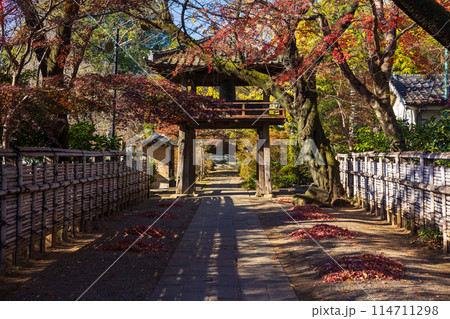 小江戸川越の秋 紅葉の中院 鐘楼門 小江戸川越の秋 紅葉の中院 鐘楼門 114711298