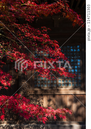 小江戸川越の秋　紅葉の中院 114711303