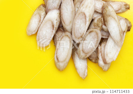 Burdock Root (Gobo) on yellow background. 114711433