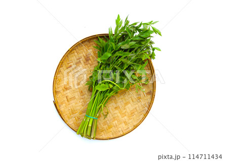 Green leaves of water dropwort plant 114711434