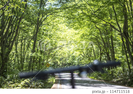 奥大山の新緑・初夏のサイクリングイメージ（鍵掛峠付近） 114711518
