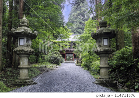 初夏の御岩神社参道 初夏の御岩神社参道 114711576