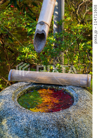 小江戸川越の秋 紅葉の中院 手水鉢 小江戸川越の秋 紅葉の中院 手水鉢 114711608