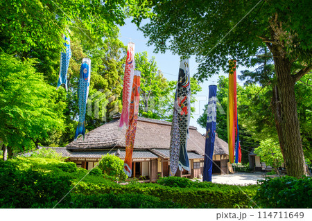 こいのぼりと茅葺 114711649